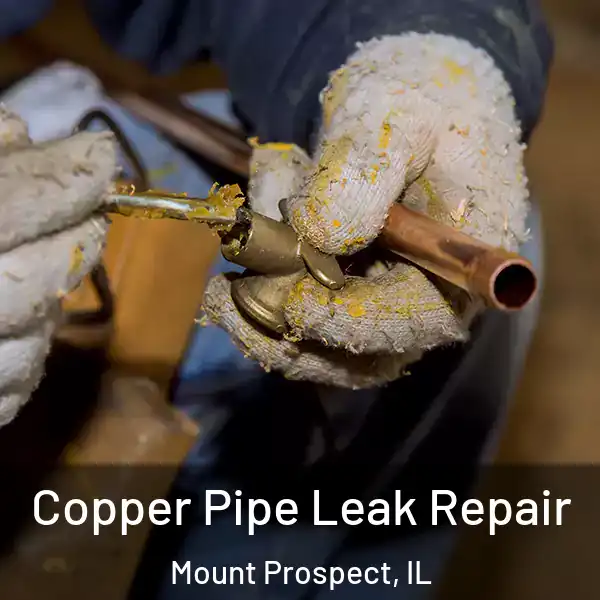  Copper Pipe Leak Repair Mount Prospect, IL