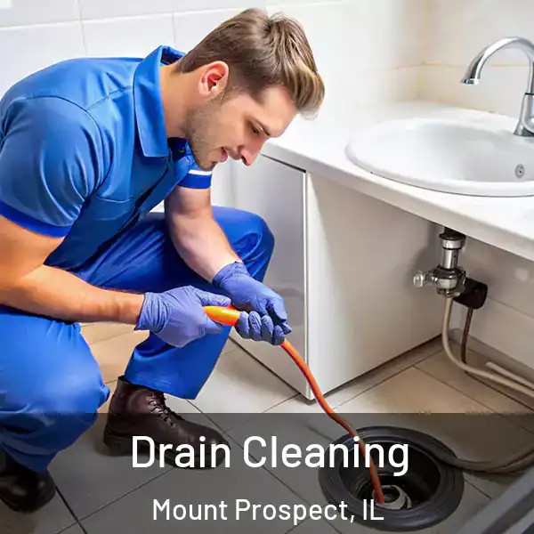  Drain Cleaning Mount Prospect, IL