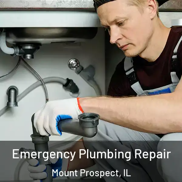  Emergency Plumbing Repair Mount Prospect, IL