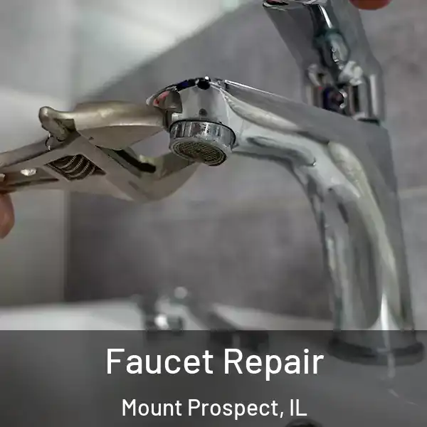  Faucet Repair Mount Prospect, IL