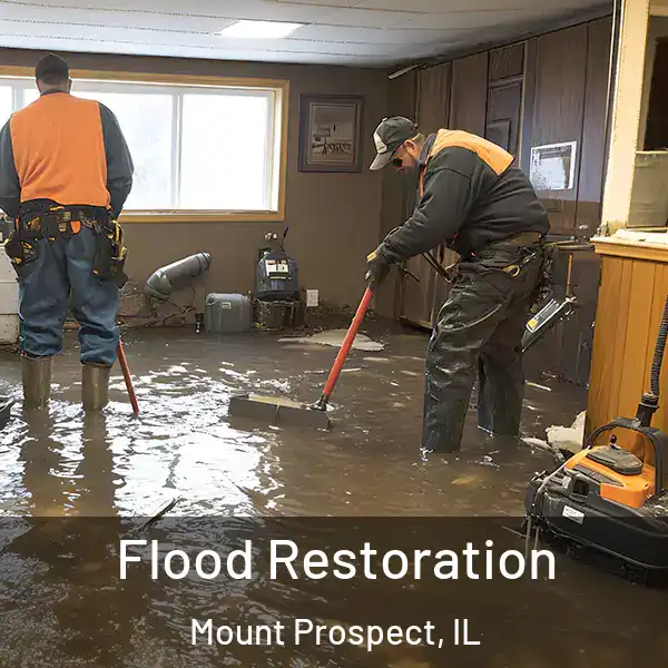  Flood Restoration Mount Prospect, IL