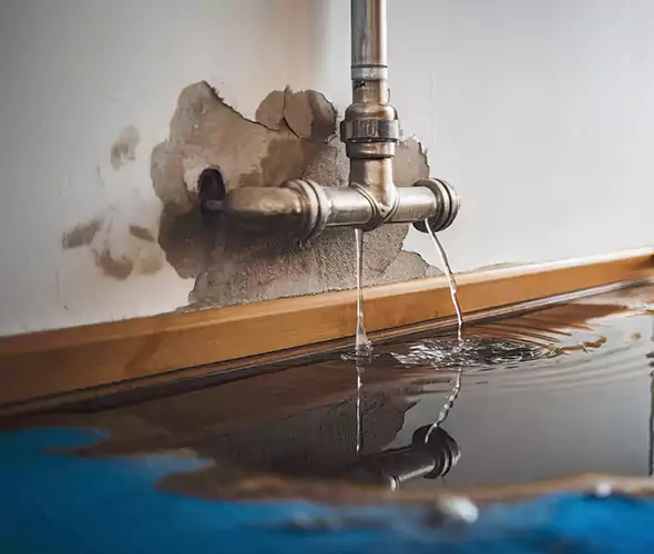 Professional Water Damage Restoration Experts in Mount Prospect, IL — Fast, Reliable & Certified
