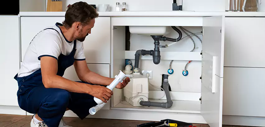 Plumbers for Frozen Pipes in Mount Prospect