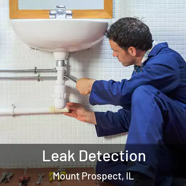  Leak Detection Mount Prospect, IL