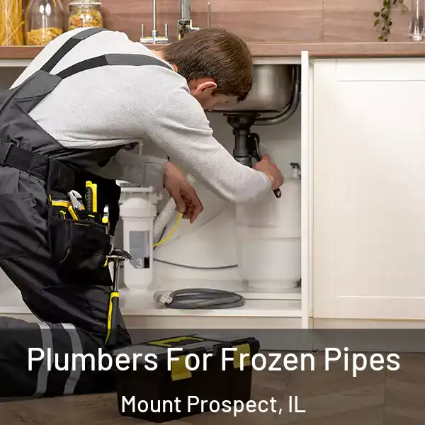  Plumbers For Frozen Pipes Mount Prospect, IL