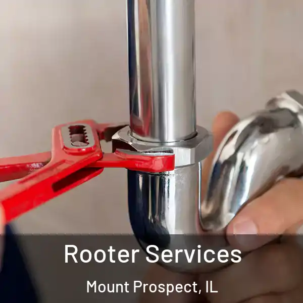 Rooter Services Mount Prospect, IL