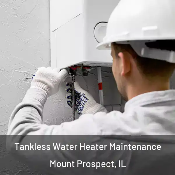  Tankless Water Heater Maintenance Mount Prospect, IL