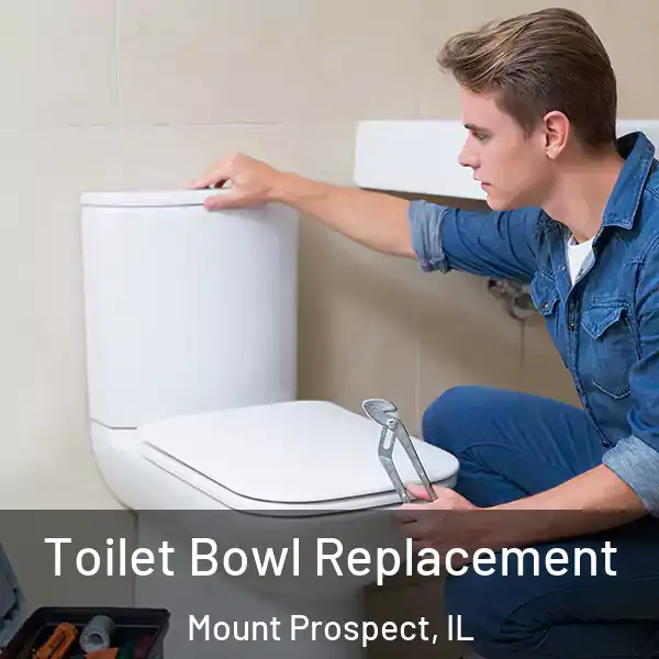  Toilet Bowl Replacement Mount Prospect, IL