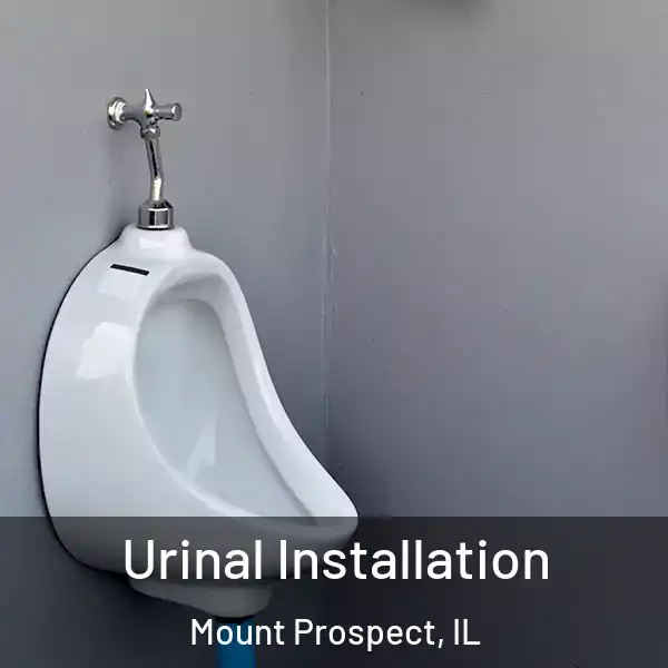  Urinal Installation Mount Prospect, IL