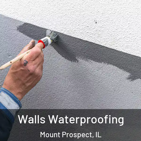  Walls Waterproofing Mount Prospect, IL