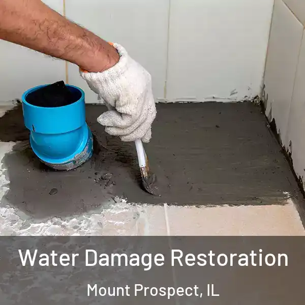  Water Damage Restoration Mount Prospect, IL