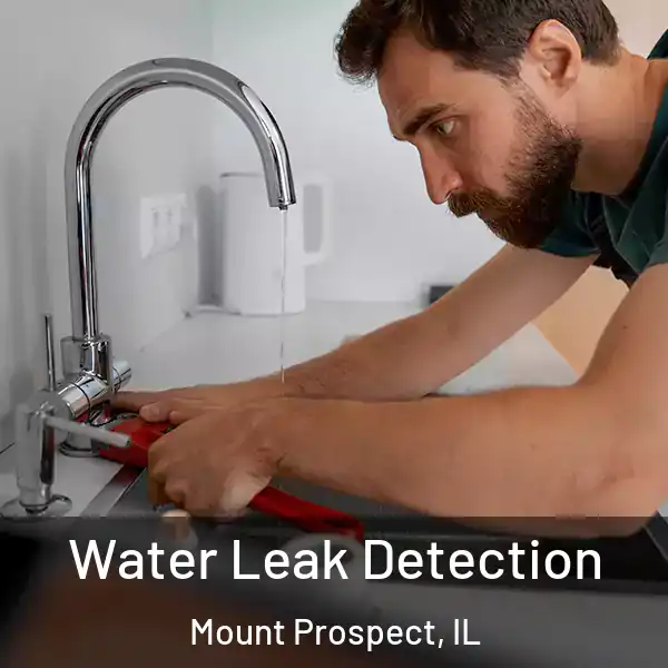  Water Leak Detection Mount Prospect, IL